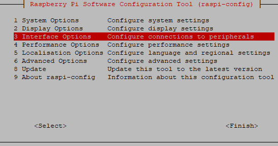 raspi-config-interface-options